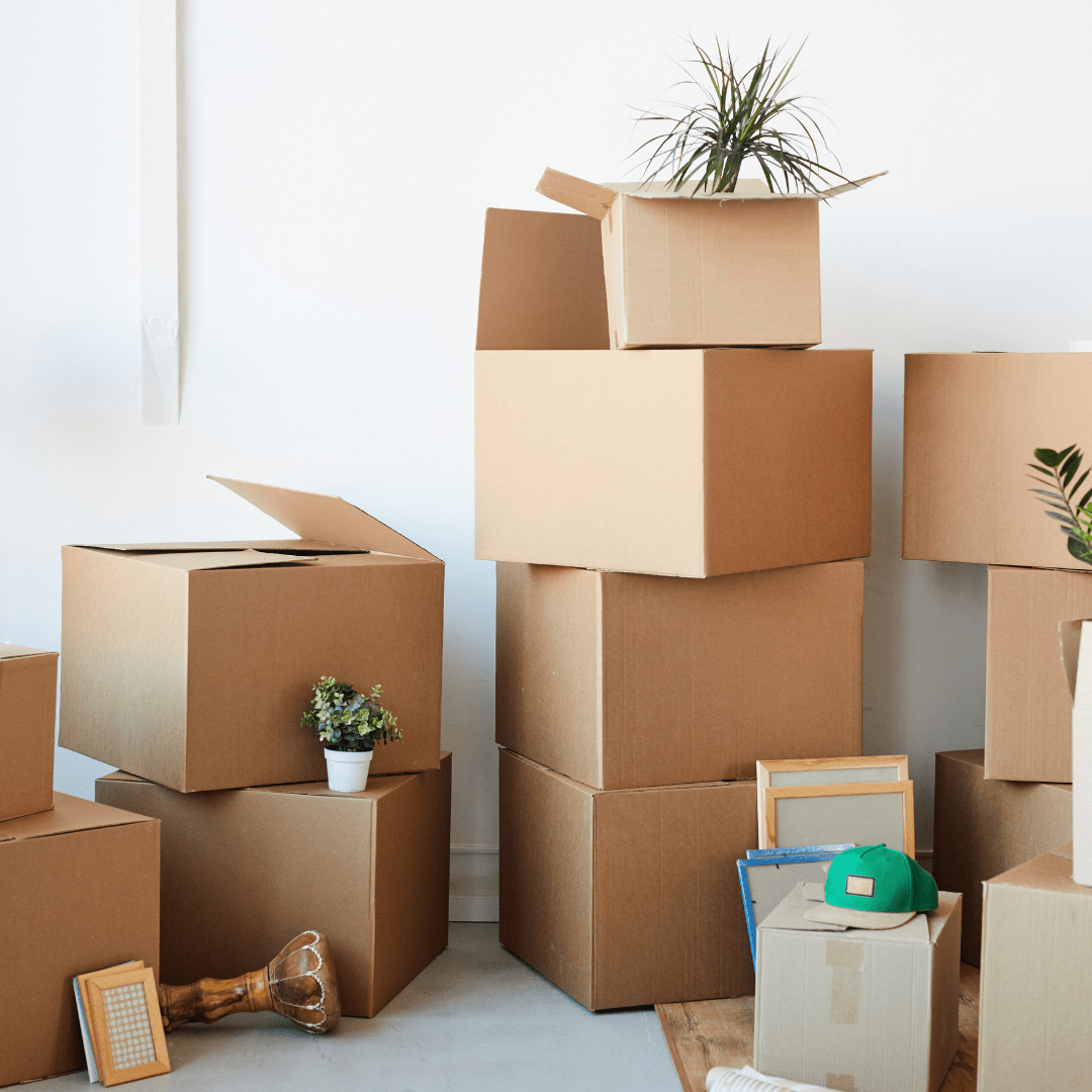boxes